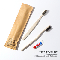 Kit d'articles de toilette écologiques de haute qualité pour hôtels, comprenant un kit dentaire en paille, conforme RoHS, articles de toilette jetables pour chambre d'hôtel, mini-kit de toilette