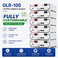 Système de batterie solaire LiFePO4 pour toute la maison, 5,12 kWh, 51,2 V, 100 Ah, empilable, BMS, sortie AC, hors réseau/hybride