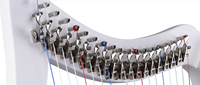 Walter Wholesale High-end Lyre Harp Strings Instrument for Sale,19 String Engraved Harp with Half Step Lever Strings & Tuning