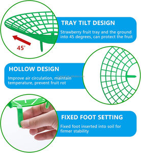 <span class=keywords><strong>Support</strong></span> de <span class=keywords><strong>support</strong></span> de culture en plastique <span class=keywords><strong>pour</strong></span> plantes de fraises avec 3 pieds robustes - Product Image 3