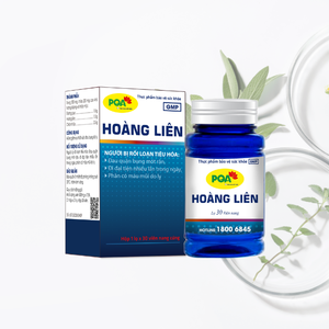 Complément alimentaire pour adultes, best-seller gastro-intestinal, réglisse Angelica Sinensis, gélules dures, soutien immunitaire naturel - Product Image 1