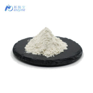 ノベンザイム サプライ バルク オーガニック フリーズドライ アロエベラ ジェル エキス パウダー - Product Image 2