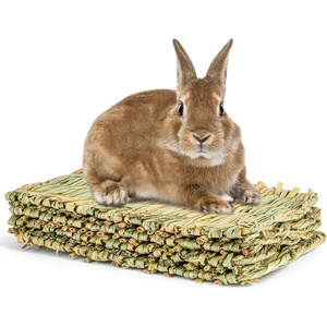Tapis d'herbe de lapin naturel tapis de sieste à grignoter tapis de nid de lit pour animaux de compagnie lapins jouets à mâcher pour hamsters perroquet lapins hérisson cochon d'inde poussin - Product Image 1