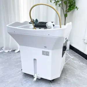 Customization Color Manufacturer Beauty Spa Salon Furniture Massage Portable Shampoo Bowl Chair Bed With Head Therapy