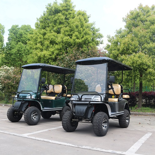 4000w 4KW AC Motor 220v 4 Wheels Adult Electric bus mini bus single seat electric golf carts with remote