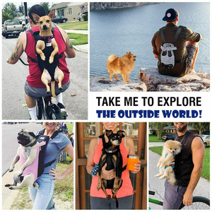 Pet Backpack Breathable Moderate Capacity Travel Dog Carrier Pattern Blue Green Red - Product Image 4