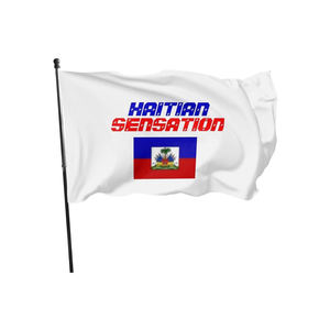 Produttore cinese popolare che vende bandiere nazionali personalizzate In tutto il <span class=keywords><strong>mondo</strong></span>, bandiera del paese In tutto il <span class=keywords><strong>mondo</strong></span>, bandiera del Cile - Product Image 4