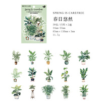 Lot de 30 autocollants décoratifs Mocard Pet Chalk, série Collection Plantes Vertes, pour carnet de notes DIY, 6 modèles