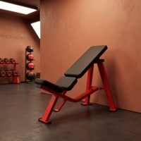 Banc de musculation en acier de qualité commerciale REYK à inclinaison fixe de 30 degrés avec presse pectorale et dispositifs de sécurité
