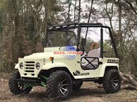 Quad 200cc Dune Buggy ATV Électrique/à Essence, Go Kart pour Adultes, Puissance 1000W, Transmission Automatique par Chaîne, Options Moteur 4 Temps ou 2 Temps