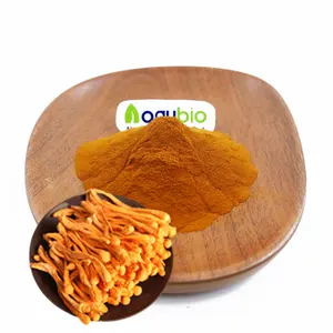 Cordyceps organico micelio CS-4 in polvere cs-4 cordyceps sinensis micelio