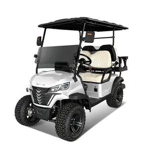 Wintao 4 Passenger Capacity 72 Volt Electric Golf Carts With Curtis Controller