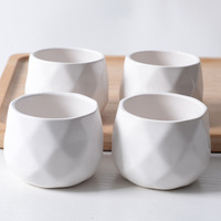 Pots de fleurs en céramique - Porcelaine blanche émaillée, jolies plantes succulentes créatives et simples, imitation de plantes, décoration, mini ornements