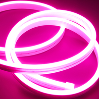 Bande LED néon en silicone 220V avec télécommande IP20 3000K-6500K variantes pour éclairage paysage DC 12V/24V
