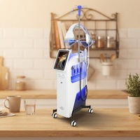 Appareil professionnel électrique 11-en-1 pour le nettoyage de la peau, le soin oxygénant du visage, le rajeunissement et le traitement de l'acné, usage domestique, 1200W, en plastique, pour spa
