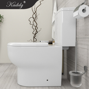 โถสุขภัณฑ์เซรามิกแบบสองชิ้นทรงยาว รุ่น Wels White Washdown แบบ Dual-Flush P-Trap ผลิตตามสั่งจากโรงงาน พร้อมปรับแต่งได้ - Product Image 3