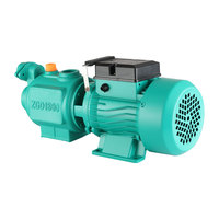Pompe à vis à un étage tête haute pression grand débit pompe à eau pour toute la maison stimulant le puits d'eau à haute pression auto-amorçant