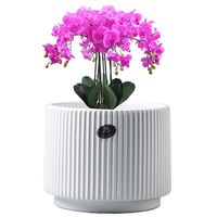 Pot Bunga Keramik dengan Alas Sederhana Putih untuk Rumah Tangga Balkon Phalaenopsis Hijau Aroma Basin Ekstra Besar Tahan Lama Pola Bergaris Cina
