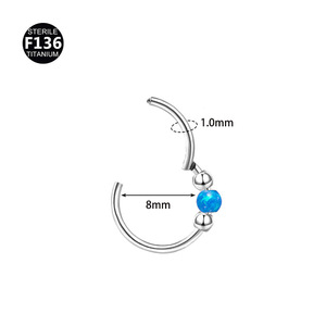 Anneaux de piercing en titane F136 <span class=keywords><strong>pour</strong></span> oreille, nez et <span class=keywords><strong>cartilage</strong></span>, 1,0 x 8 mm, vente en gros d'usine - Product Image 3