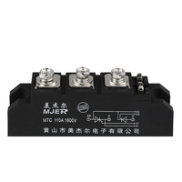 Thyristor Module cabinet Industrial modul kontrol pemanas, kabinet kontrol pengisap tanpa kontak MTC110A