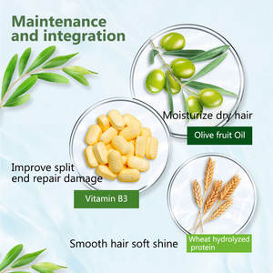 Vente en gros de produits de nettoyage pour les cheveux naturels Shampooing à l'huile d'<span class=keywords><strong>olive</strong></span> Shampooing hydratant antipelliculaire 500ml - Product Image 2