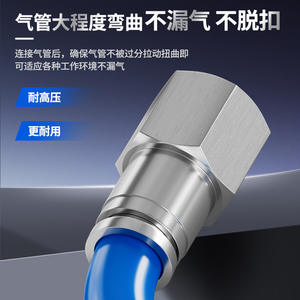 Raccord pneumatique à connexion rapide tout en cuivre nickelé PLF8-02 Filetage interne Haute température/haute pression Corrosion - Product Image 2