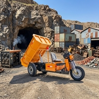 Sinman ZL300E 3-Tonnen Elektrischer Handwagen Kleiner Flachbett-LKW Abnehmbarer Sitz Transportwagen für Landwirtschaft und Pumpenbetrieb