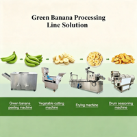 Automatische hogesnelheids industriële groene plantain/bananen schilmachine, machine voor het schillen van volwassen bananen