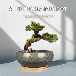 Pot de fleurs moderne en céramique de 8 pouces, émaillé, peu profond, avec trou de drainage <span class=keywords><strong>pour</strong></span> plantes succulentes, et <span class=keywords><strong>soucoupe</strong></span> en bambou <span class=keywords><strong>pour</strong></span> plantes d'intérieur - Product Image 2