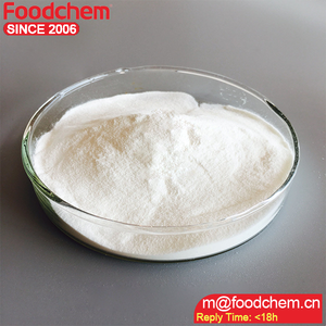 Foodchem Collagène <span class=keywords><strong>poudre</strong></span> - Product Image 5