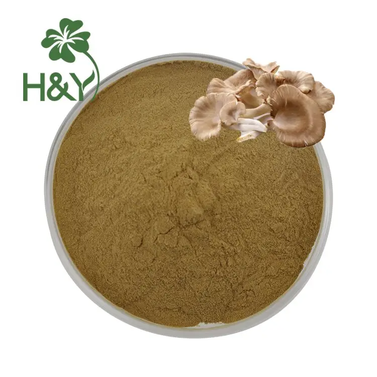 Wholesale Price Dried Oyster Mushroom Extract Oyster Mushrooms Extract Powder