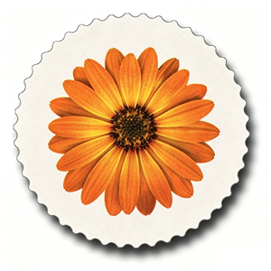 Étiquettes d'emballage 0918 - Product Image 1