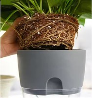 Kits de plantes succulentes d'intérieur Pot de plantes en plastique ABS à double couche avec fond transparent en corde de coton absorbant