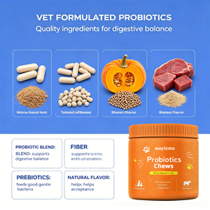 Waylemo Vitamine per Cani, Probiotico Masticabile per la Salute degli Animali Domestici, Digestione Intestinale, Gusto Manzo, Vendita all'Ingrosso OEM - Product Image 2