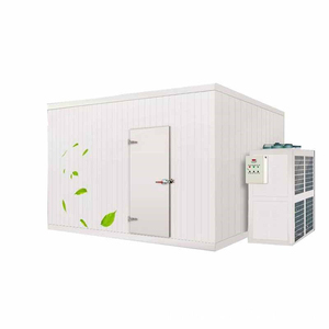 <span class=keywords><strong>Chambre</strong></span> froide d'unité de <span class=keywords><strong>chambre</strong></span> froide de taille faite sur commande de Ruixue pour la viande congelée - Product Image 2