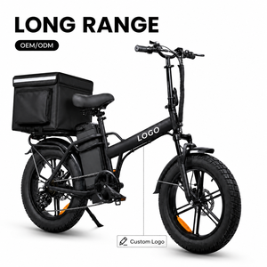 Vélo électrique à pneus larges de 20 pouces, autonomie de 128 km, moteur haute vitesse, vélo cargo électrique pour usage professionnel par les coursiers, fabrication sur mesure - Product Image 1