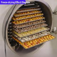 Mesin Pengisi Buah Kering Penjualan Langsung Pabrik, Mesin Pengemas dan Penimbang Buah Kering Otomatis untuk Kantong
