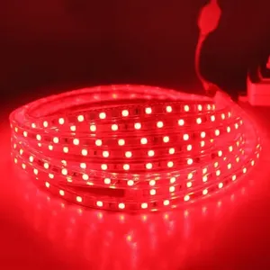 Striscia LED 5050 IP65 esterno 12v Roll 5 metri USB connettività blu luce colore opzioni SMD 5050 tipo compatibile 5V 24V ingresso
