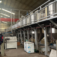 Automatische kleine schaal palmolie-raffinagemachine CPO-molen mini-productielijn hoge opbrengst hoge efficiëntie