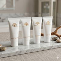 Ensemble de produits de toilette en format voyage avec logo personnalisé pour hôtel, comprenant shampoing, lotion corporelle et après-shampoing en flacons miniatures, pour complexes hôteliers