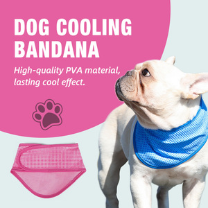 chilli paws cooling collar