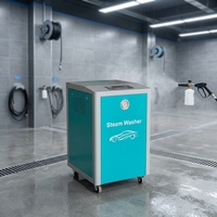 Nettoyeur Vapeur Électrique pour Véhicules en Acier Inoxydable 8 Bars 220V 380V Réservoir 20L Remplissage Automatique de l'Eau Double Pistolet Nettoyant Auto Garantie 2 Ans