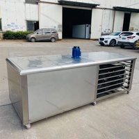 Machine de Fabrication de Blocs de Glace Carbonique 1 Tonne à Contrôle Qualité Optimal, Meilleur Prix