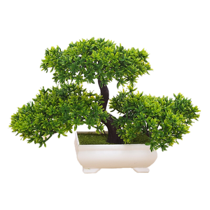Bonsái Artificial de Pino Resistente a los Rayos UV de Alta Calidad en Maceta Blanca, Decoración Japonesa para Jardín Zen, Hogar u Oficina - Product Image 1