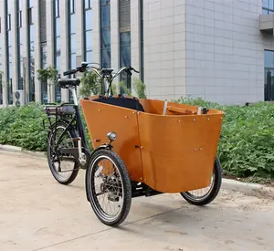 New gia đình hàng hóa điện bakfiets gấp ba bánh cho Kid