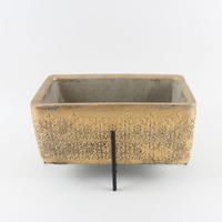 Jardinière ovale en ciment doré abordable, imperméable, pour intérieur, avec support, pour plantes, bonsaïs et succulentes