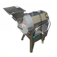 Hoge Efficiëntie Volledige Plantain Citroen Banaan Fruit Snijmachine