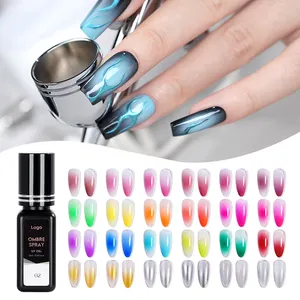 Bán buôn tùy chỉnh chất lượng cao Acrylic Airbrush Nail Prep phun Ombre 12 màu sắc nghệ thuật Gel Polish Set Airbrush Stencil cho móng tay