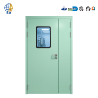 Porte d'hôpital à revêtement antibactérien, intérieur hygiénique, finition vert menthe pour salle d'opération, fabricant d'acier, OEM personnalisé