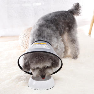 <span class=keywords><strong>Post</strong></span>-OP Halskrause für Hunde, weicher Kunststoffkragen mit Bändern, umweltfreundlich, verhindert Lecken von Wunden nach dem Neutering/Entfernung von Hoden oder Brüsten - Product Image 4